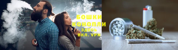 прущий лед Богданович