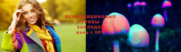 амф Краснослободск