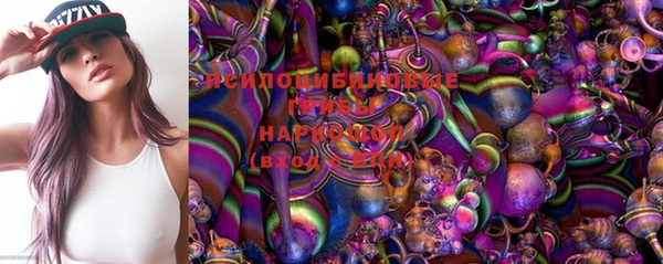 СК Бронницы