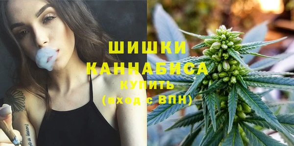 СК Бронницы