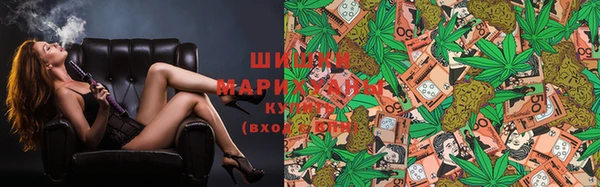 прущий лед Богданович