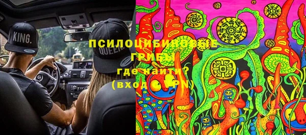 СК Бронницы