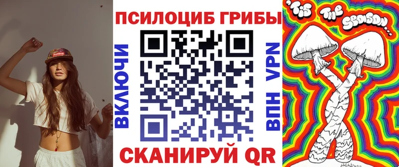 купить закладку  Городовиковск  MEGA как войти  Псилоцибиновые грибы Psilocybine cubensis 