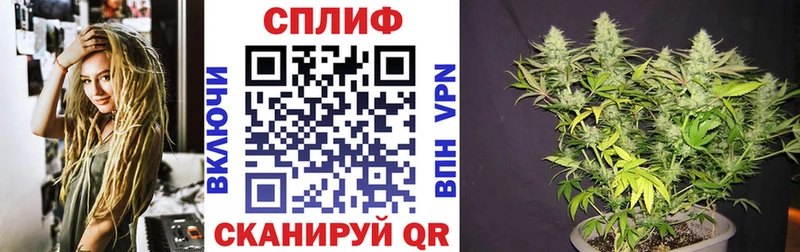 МАРИХУАНА Amnesia  продажа наркотиков  Городовиковск 